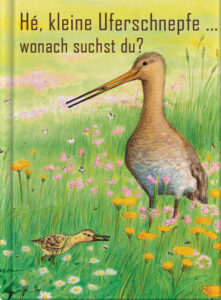 Hé, kleine Uferschnepfe … wonach suchst du?