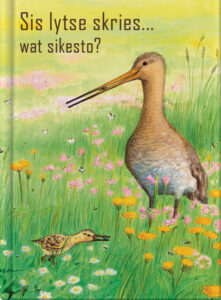 Sis lytse skries… wat sikesto?