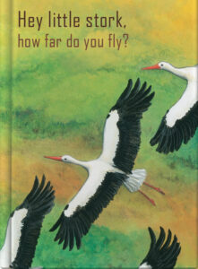 Hey little stork, how far do you fly?