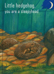 Little hedgehog, you are a sleepyhead.
