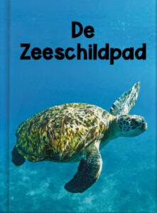 De zeeschildpad