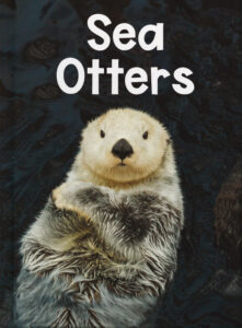 Sea otters