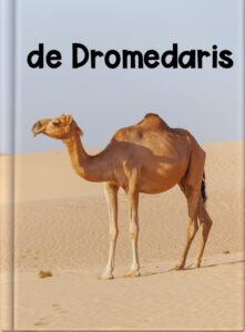 de Dromedaris