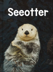 Seeotter