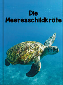 Die Meeresschildkröte