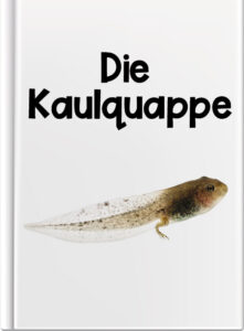 Die Kaulquappe
