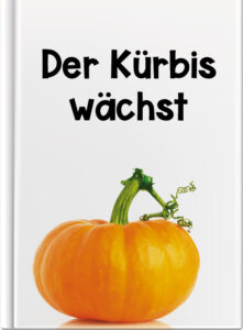 Der Kürbis wächst