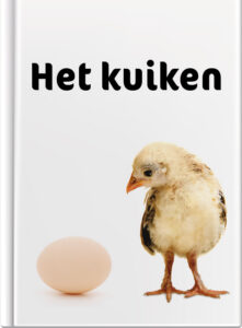 Het kuiken