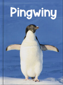 Pingwiny