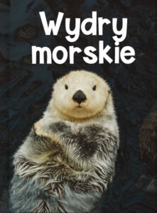 Wydry morskie