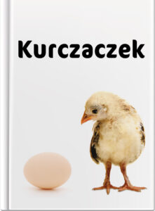Kurczaczek