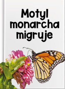Motyl monarcha migruje