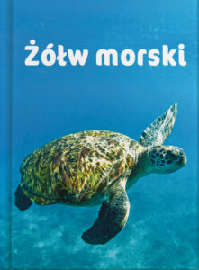 Żółw morski