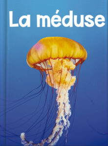 La méduse