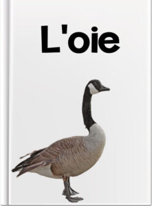 L’oie