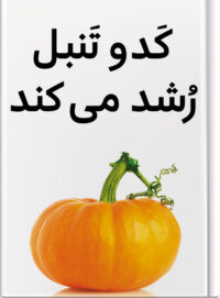 کَدو تَنبل رُشد می‌کند