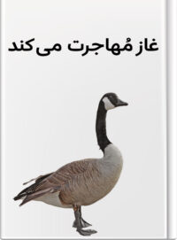 غاز مُهاجرت می‌کند