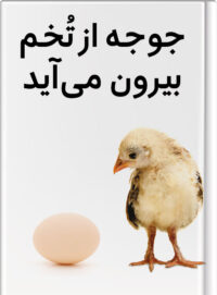 جوجه از تُخم بیرون می‌آید