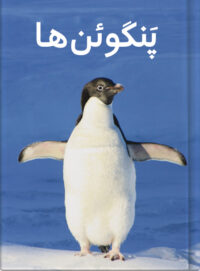 پَنگوئن‌ها