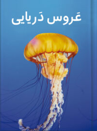 عَروس دَریایی
